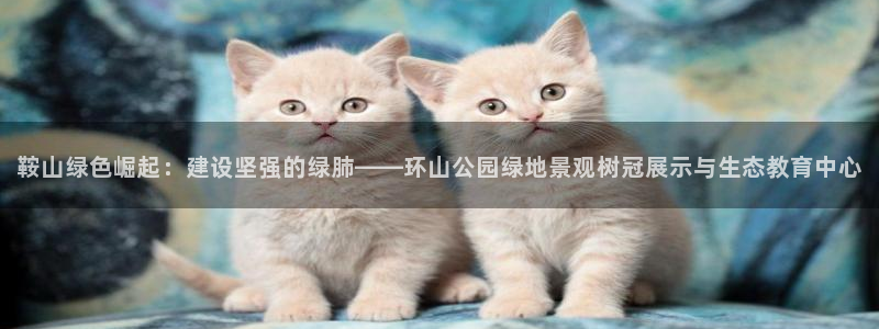 天顺娱乐上级单位是谁啊