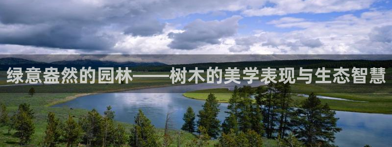 天顺娱乐最78778卧