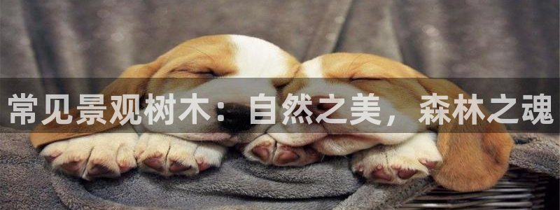 天顺娱乐附943994