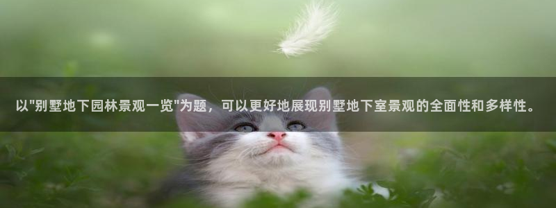 天顺娱乐主管微信