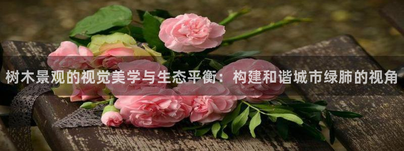 汝城天顺娱乐
