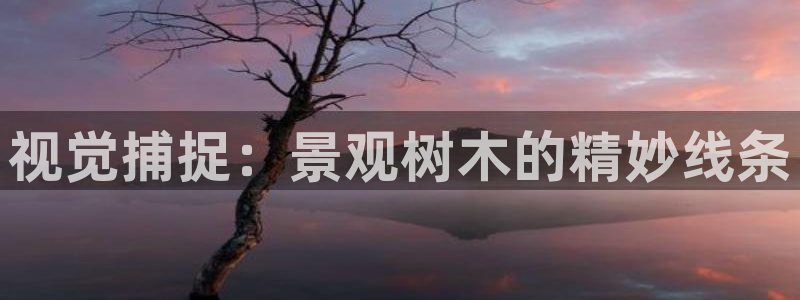 天顺娱乐开户掏辈40996q