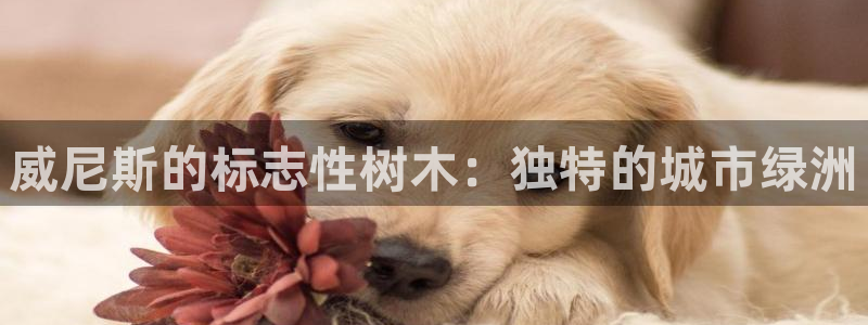 天顺娱乐主管都做什么