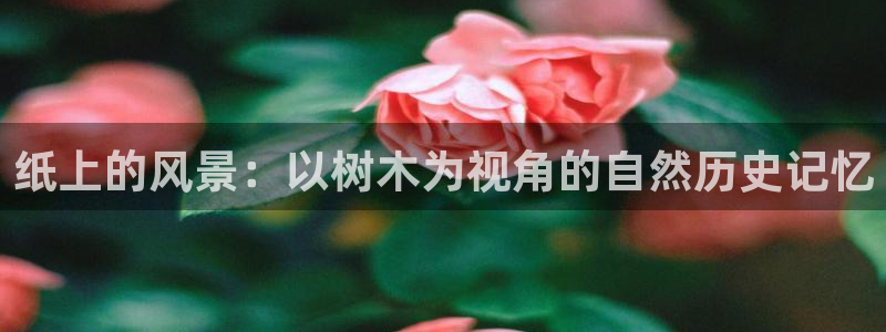 天顺娱乐负责人十岂pg29999