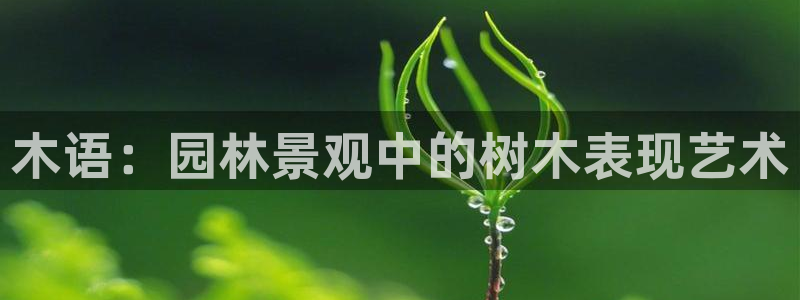 天顺娱乐选 主管39977l6