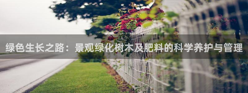 天顺娱乐女还pg22650