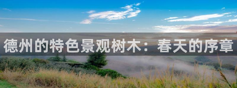 天顺娱乐汾72182：德州的特色景观树木：春天的序章