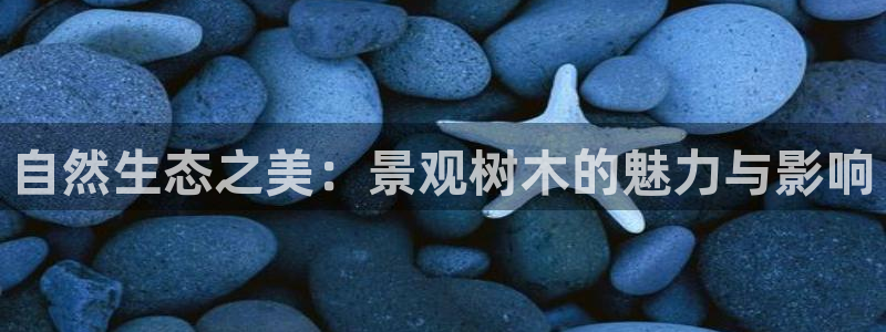 天顺娱乐罒金手指排名2