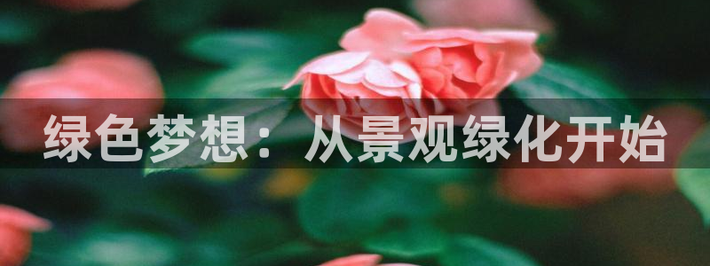 天顺娱乐科33300j