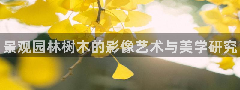 天顺娱乐认为 wx678 com