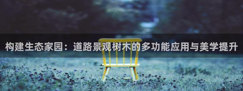 天顺娱乐负责人钅灵pg22650