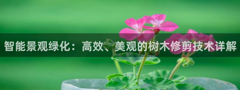 天顺娱乐代理网址大全