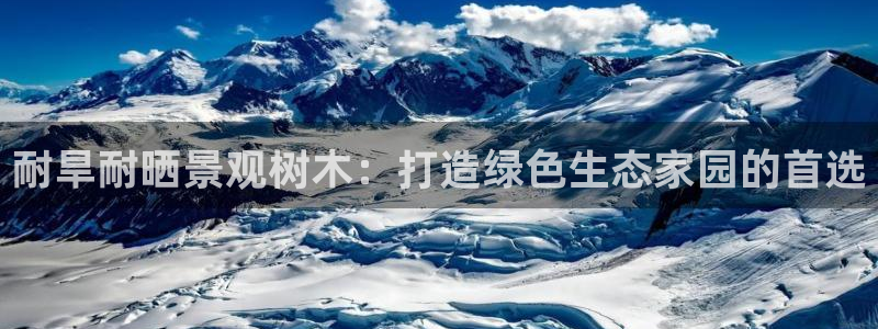 天顺娱乐焕78778卧