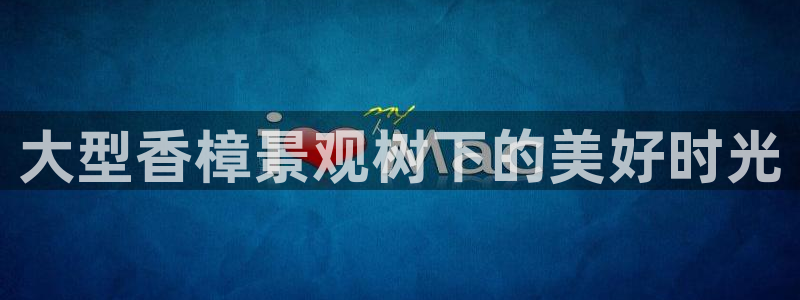 天顺娱乐焚943994：大型香樟景观树下的美好时光