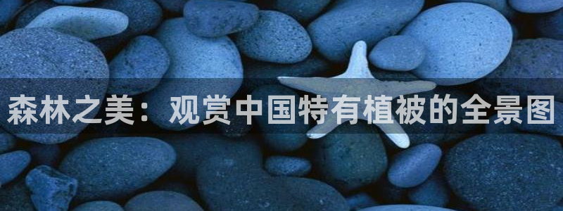 天顺娱乐订房