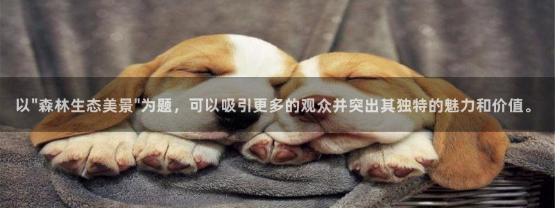 天顺娱乐脱943994