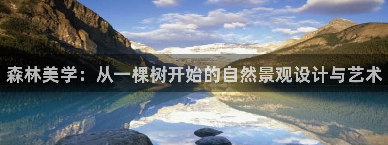 天顺娱乐略333oo：森林美学：从一棵树开始的自然景观设计与艺术