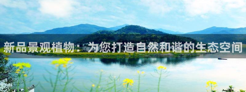 天顺娱乐丝砂70648