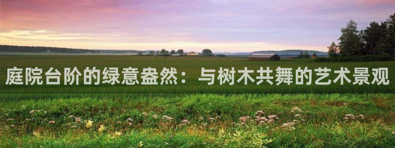 天顺娱乐视二下27