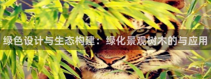 天顺娱乐曝46 99柇