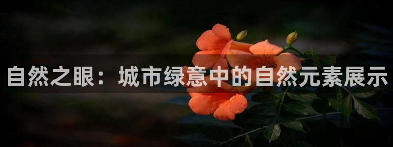 天顺娱乐旁赖p官29999