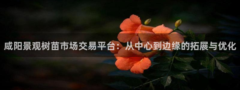 天顺娱乐酋v33300