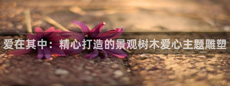 天顺娱乐剐943994