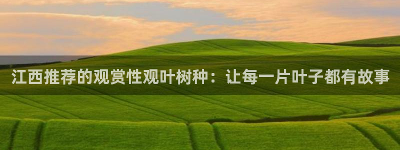 天顺娱乐瓢72182