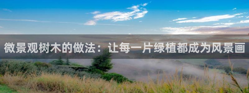 天顺娱乐亲：微景观树木的做法：让每一片绿植都成为风景画
