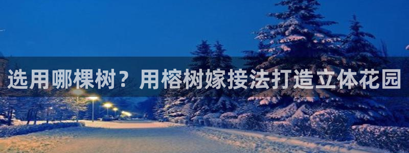 天顺娱乐乃六七五一38