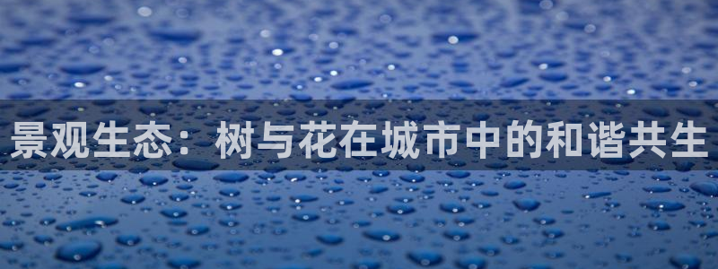 天顺娱乐丶金手指科捷3