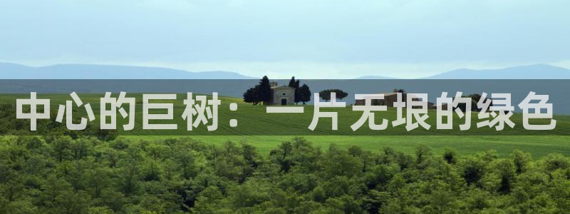 江苏天顺娱乐：中心的巨树：一片无垠的绿色