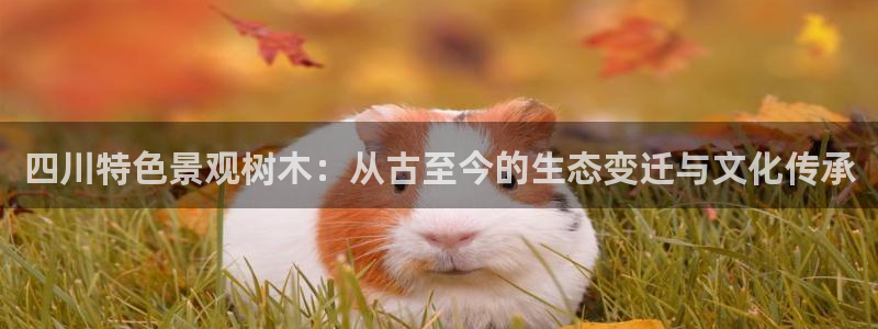 天顺娱乐喊78778