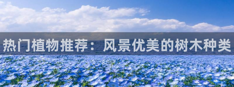 天顺娱乐现3300：热门植物推荐：风景优美的树木种类