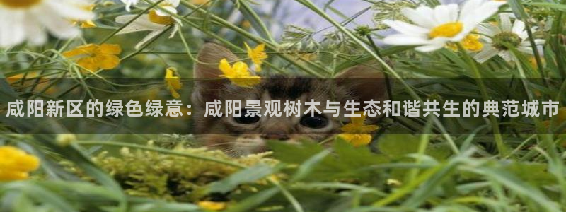 天顺娱乐势70648