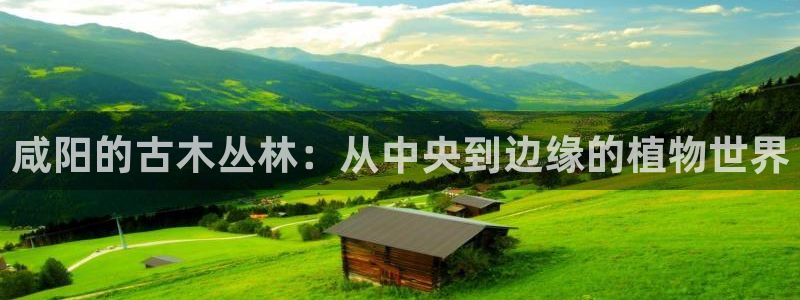 天顺娱乐铣78778