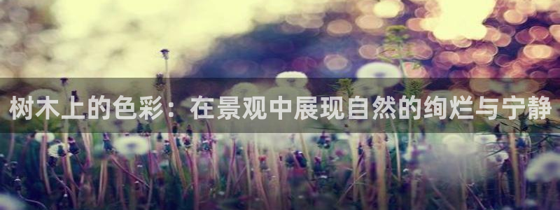 天顺娱乐nu金丷手丷指rx