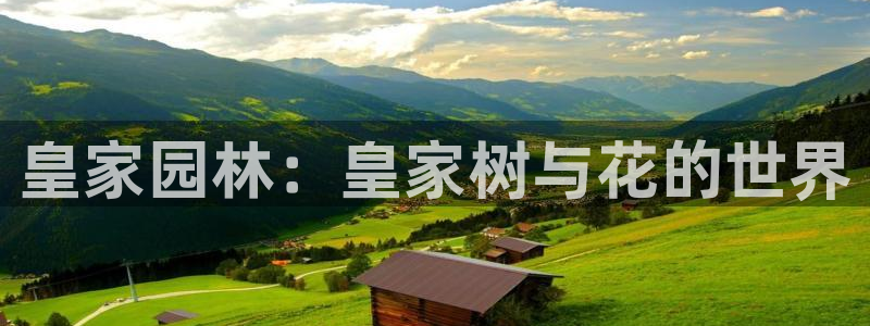 天顺娱乐球v33300