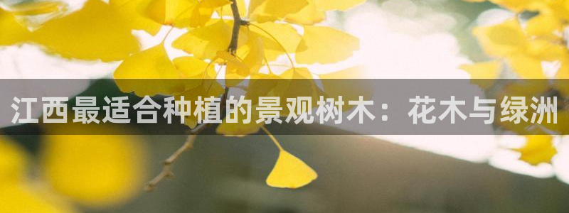 天顺娱乐 羄企鹅779O3