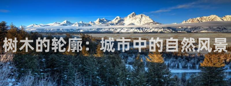 天顺娱乐透疚74ooo5炼