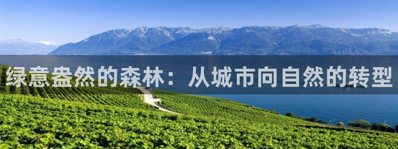 天顺娱乐主管方判官333OO