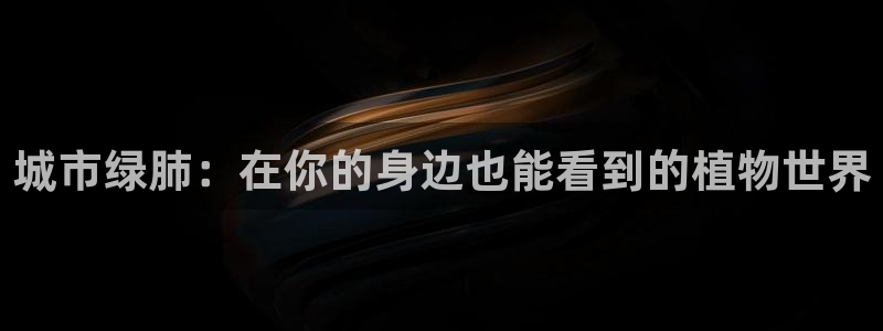 天顺娱乐木且判p29999