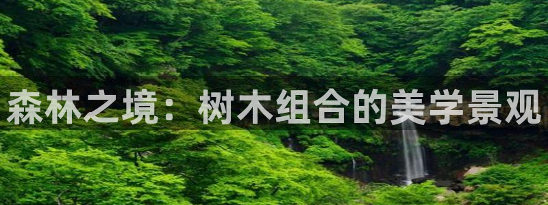 天顺娱乐禾33300j