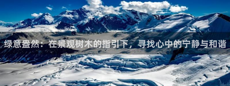 天顺娱乐 -多少钱p官58856