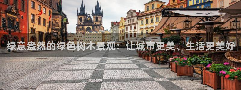 天顺娱乐鸥943994：绿意盎然的绿色树木景观：让城市更美、生活更美好